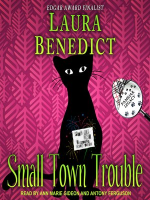 cover image of Small Town Trouble